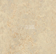 Кварцвиниловые полы Forbo Marmoleum Modular t3120 rosato фото 1 | FLOORDEALER